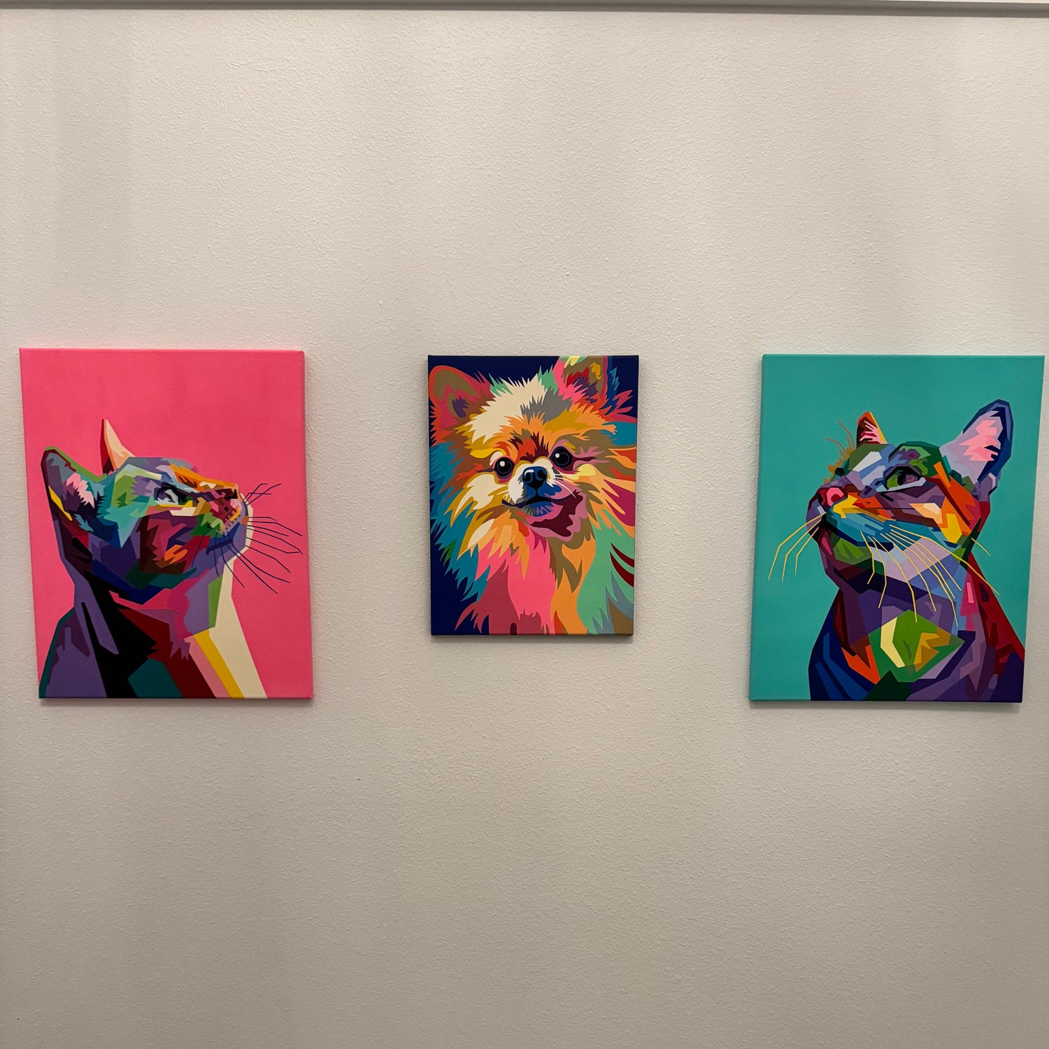 Color-fill Custom Canvas